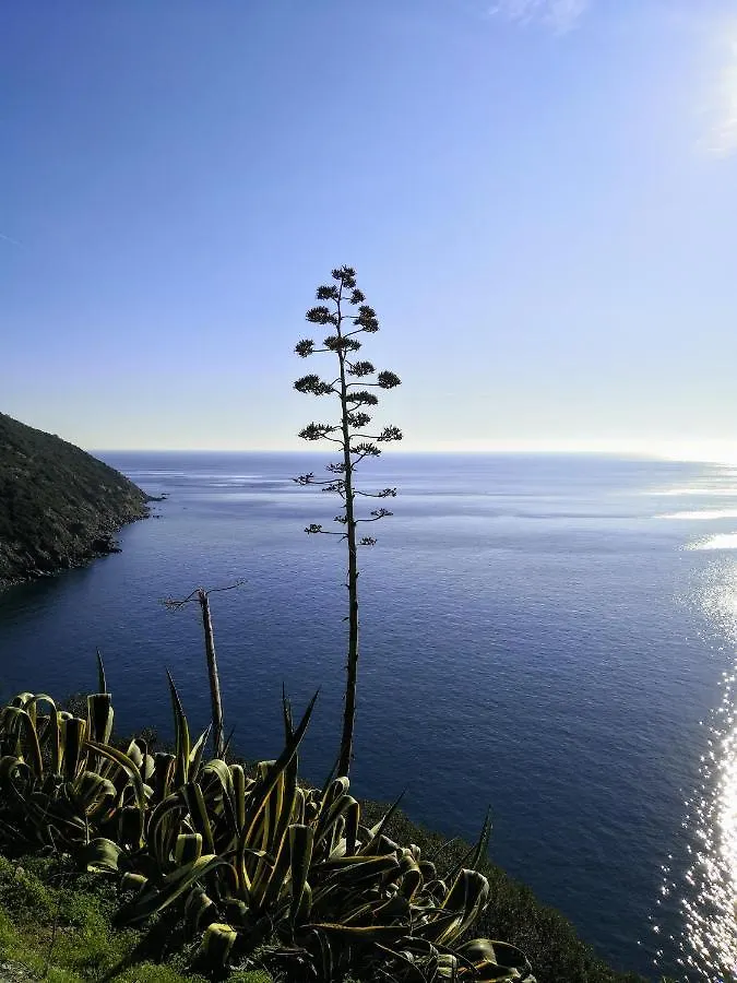 Casa Dei Pescatori Διαμέρισμα Porto Azzurro