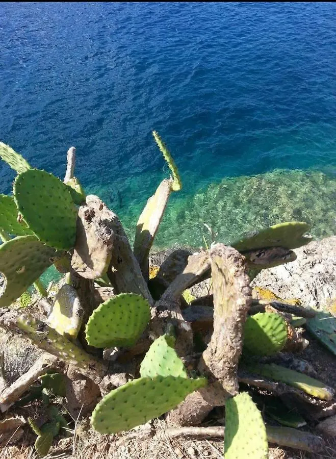 Casa Dei Pescatori Διαμέρισμα Porto Azzurro Ιταλία
