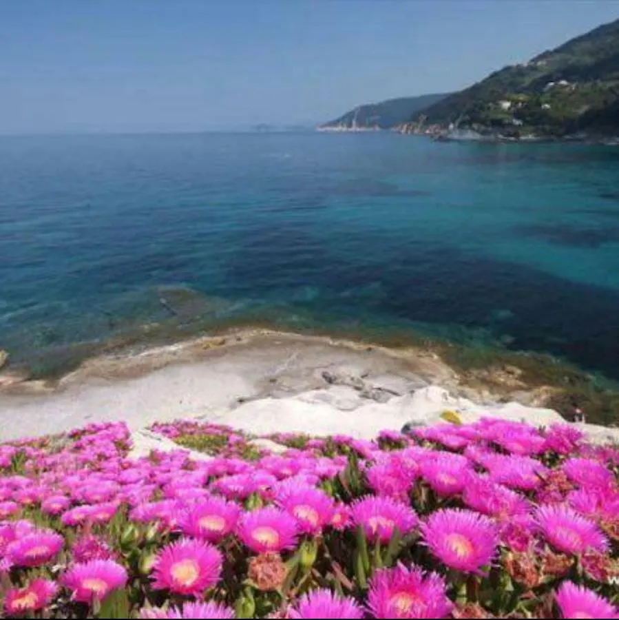 Casa Dei Pescatori Διαμέρισμα Porto Azzurro